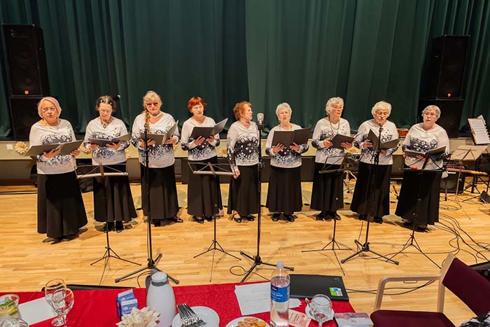 Hõbene Seenioride messil 2025 Kaubamajakas