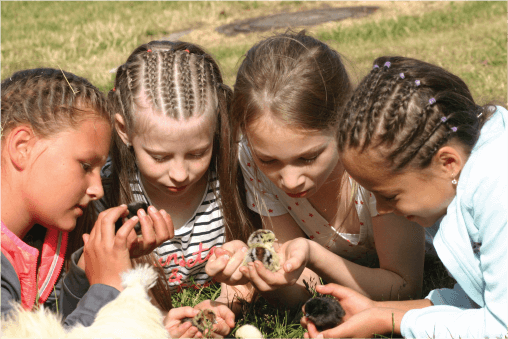 Suvetegevused 2023 - Ranna Rantso lastelaagrid Suvetegevused 2023 - Ranna Rantso lastelaagrid