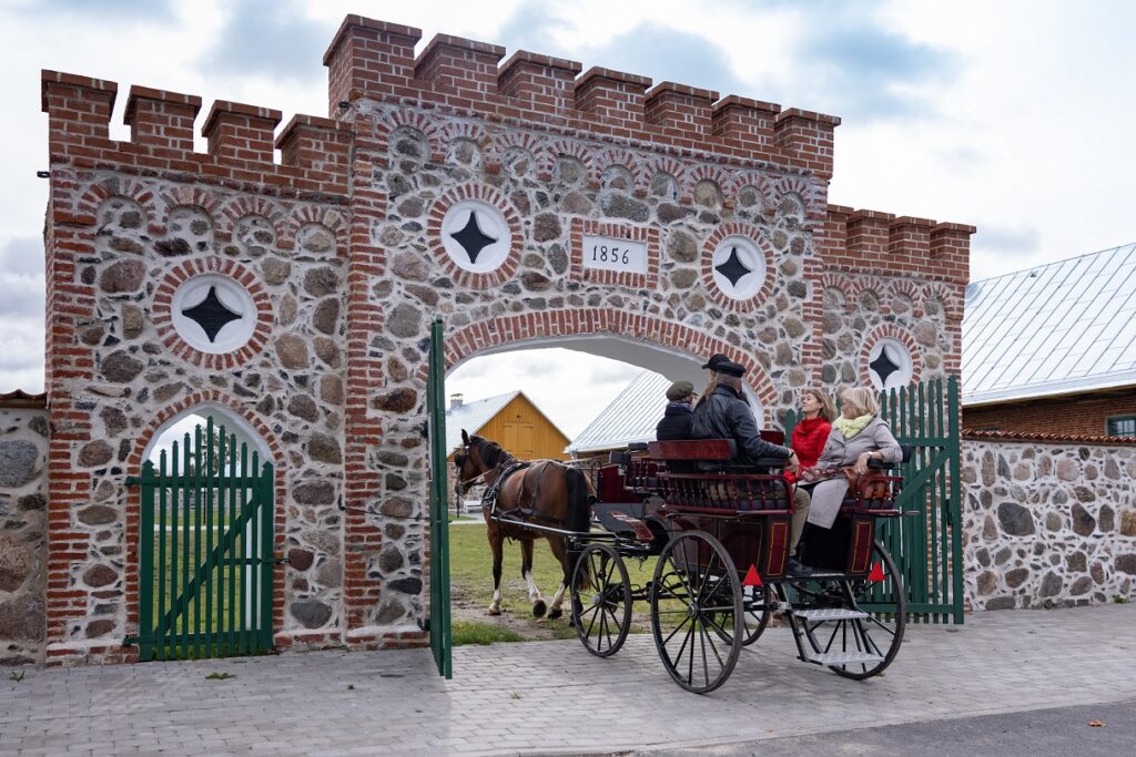 Suvetegevused 2023 osaleja Tori Hobusekasvandus ja Jakobsoni Talumuuseum Suvetegevused 2023 osaleja Tori Hobusekasvandus ja Jakobsoni Talumuuseum